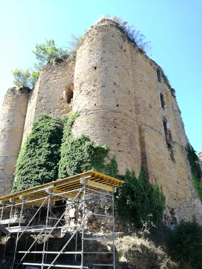 Ruine du chateau Franchimont (Belgique)